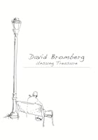 David Bromberg Unsung Treasure