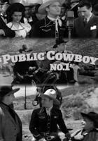 Public Cowboy No.1