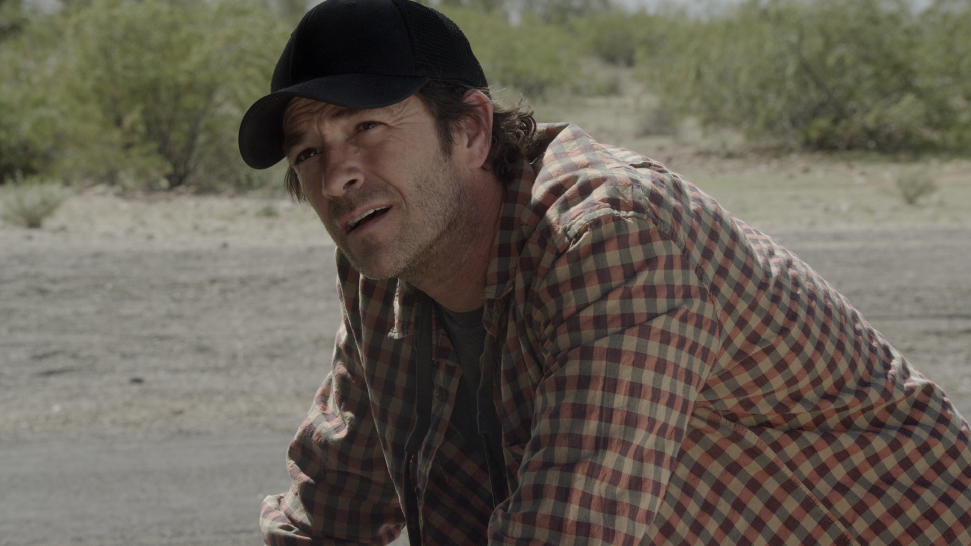 The Griddle House Watch Free on Pluto TV United States