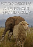 Wild & Woolly : Un éléphant et son mouton