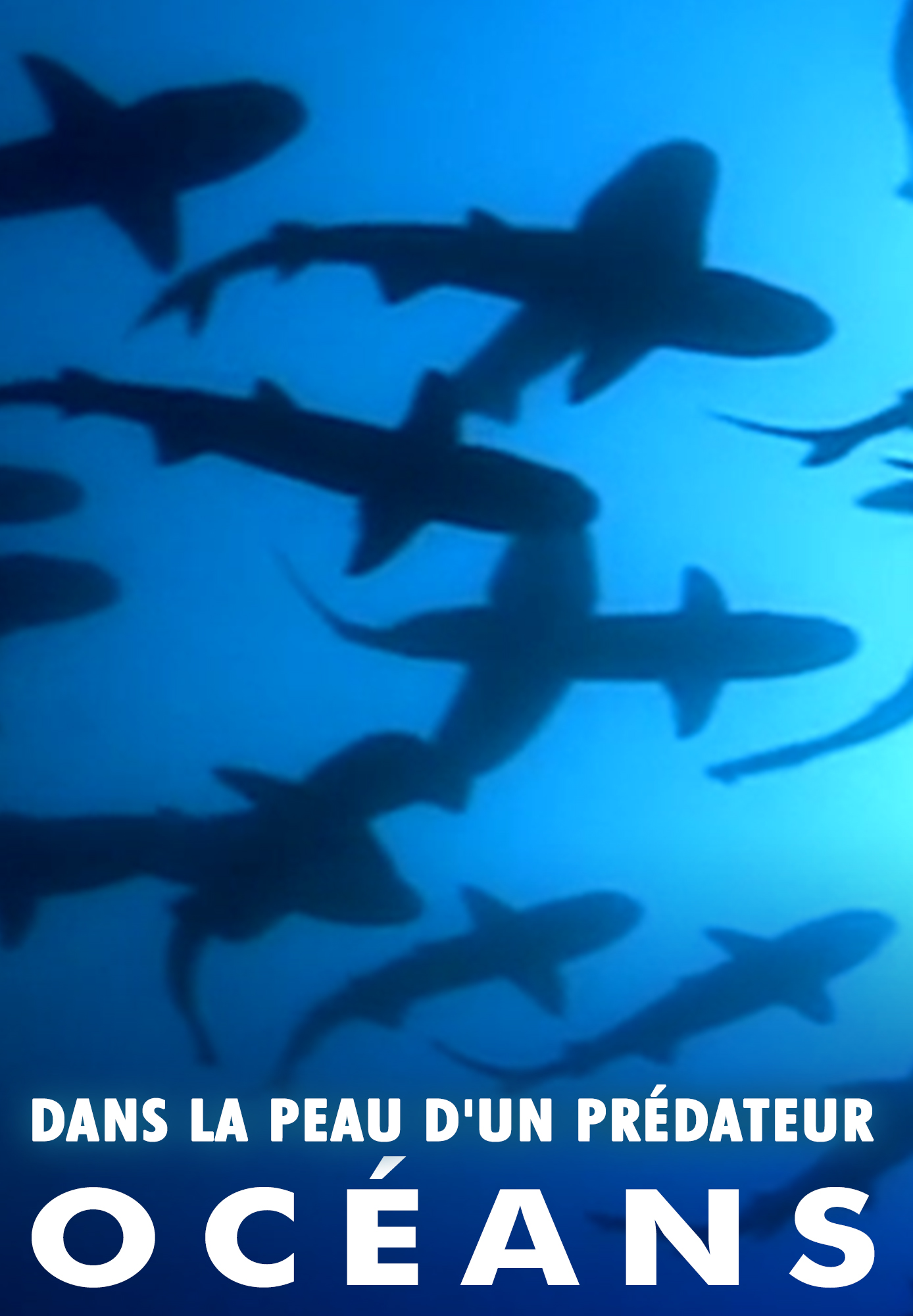 Dans la peau d'un prédateur : Océans