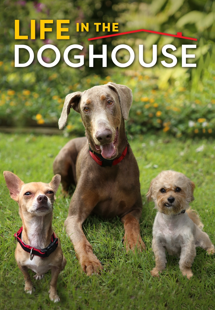 Life in the Doghouse