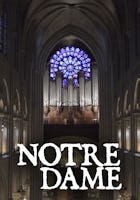 Notre Dame de Paris : Á l'ombre des tours de la cathédrale