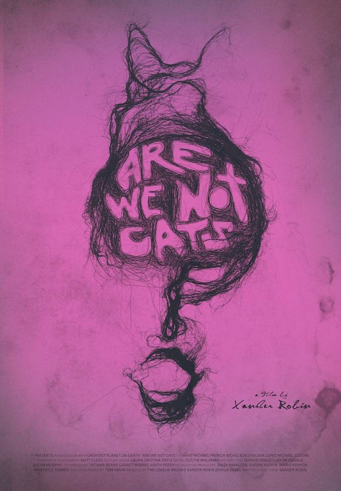 Não somos gatos
