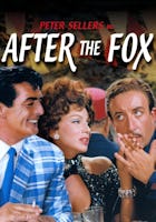 After The Fox