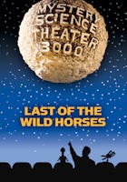 Last Of The Wild Horses