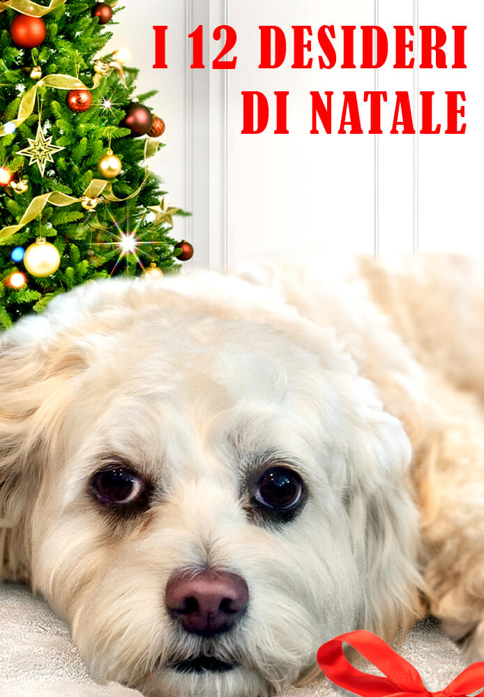 Immagine di I 12 Desideri di natale