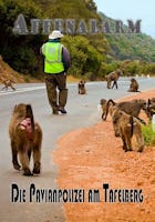 Affenalarm - Die Pavianpolizei am Tafelberg