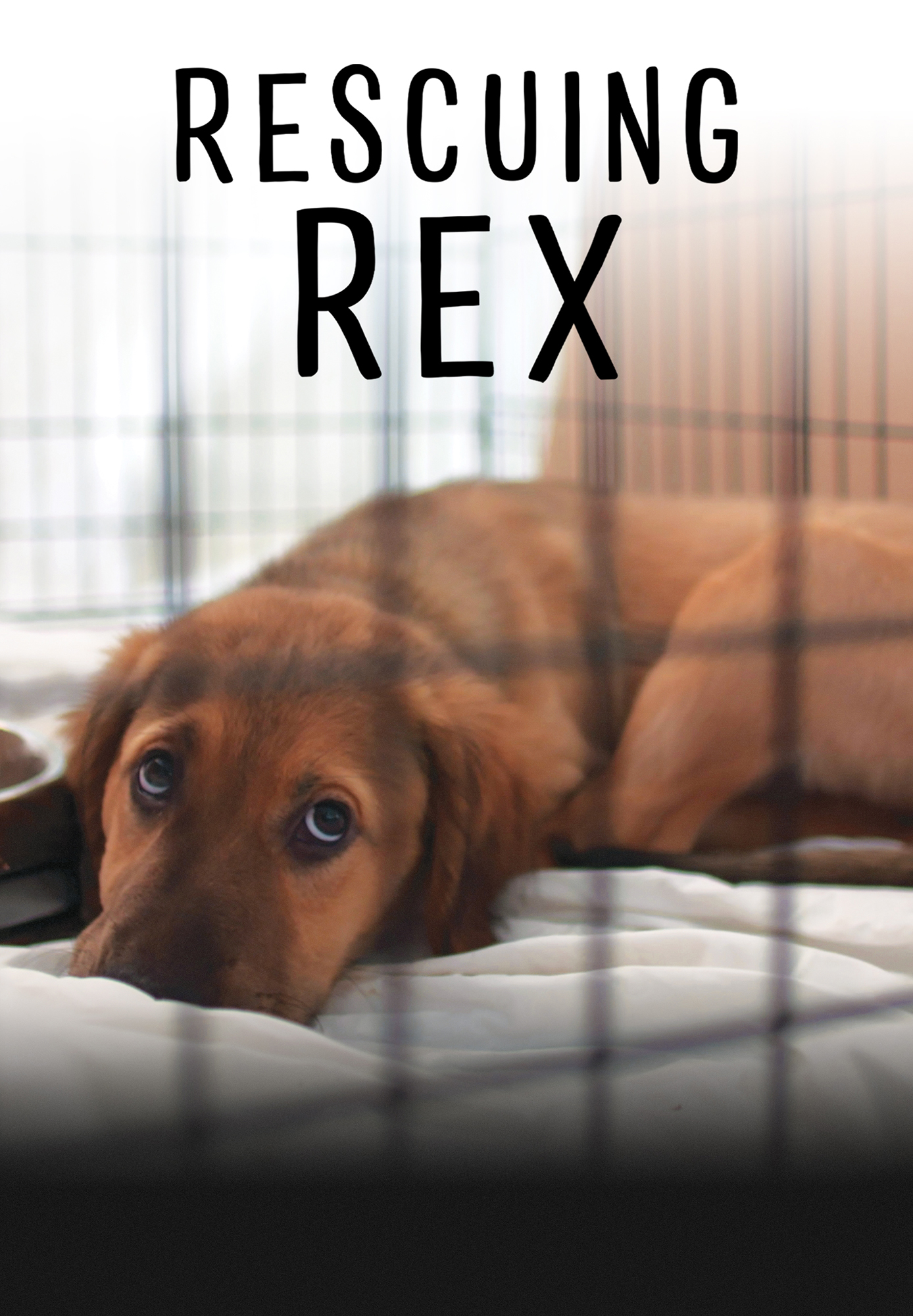 Rescuing Rex