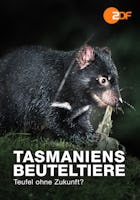 Tasmaniens Beuteltiere - Teufel ohne Zukunft?