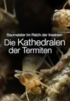 Baumeister im Reich der Insekten - Die Kathedralen der Termiten