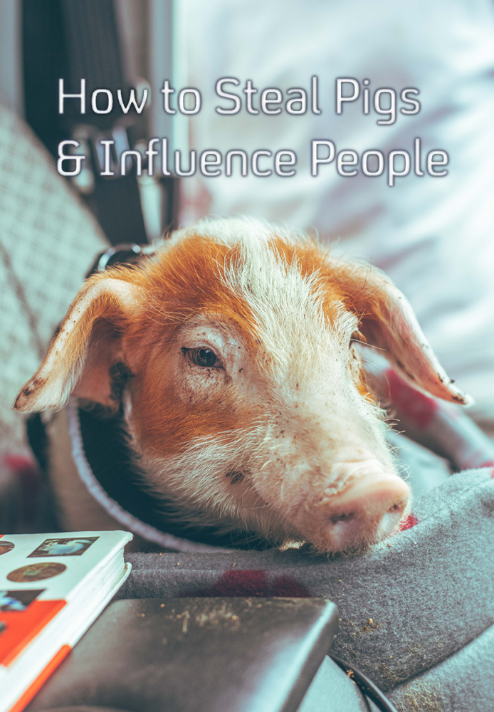 How to Steal Pigs and Influence People
