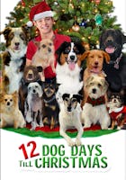 12 días de perros hasta navidad