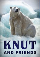 Knut and Friends