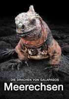 Die Drachen von Galapagos: Meerechsen