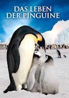 Das Leben der Pinguine