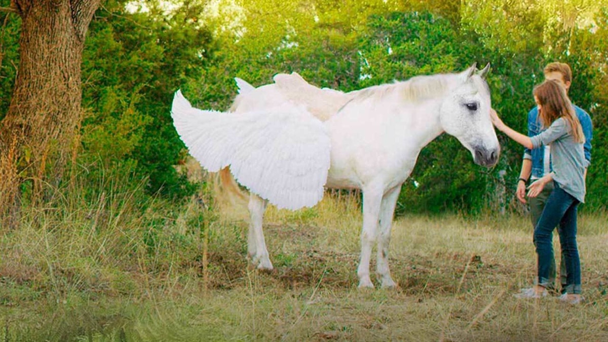 Pegasus – Das Pferd mit den magischen Flügeln - Watch Free on Pluto TV