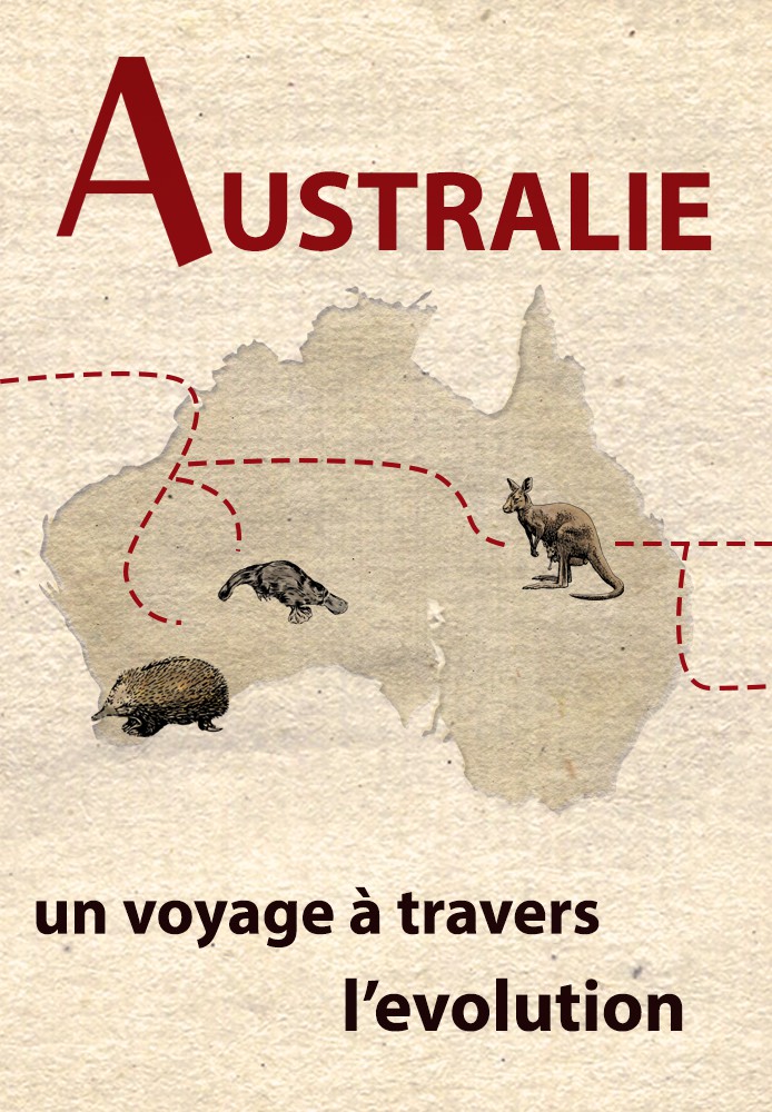 Australie, un voyage à travers l'évolution