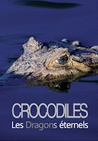 Crocodiles, les dragons éternels