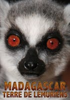 Madagascar, terre de lémuriens