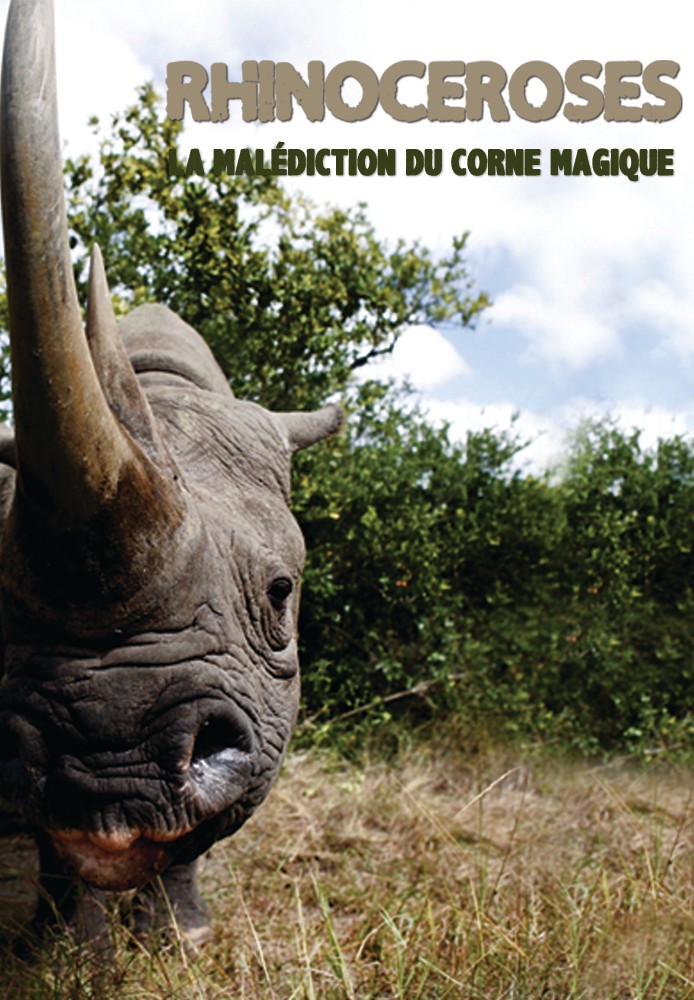 Rhinocéros, la malédiction de la corne magique