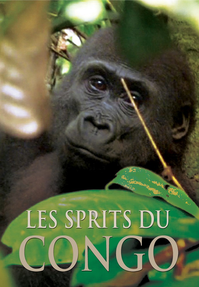 Les Esprits du Congo