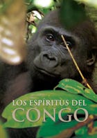 Espíritus del Congo