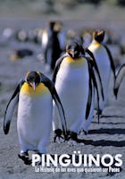 Pingüinos, la historia de las aves que quisieron ser peces
