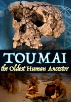 Toumai, The Oldest Human Ancestor
