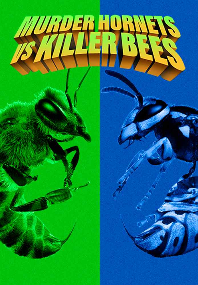 Murder Hornets Vs Killer Bees