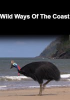 Wild Ways Of The Coast