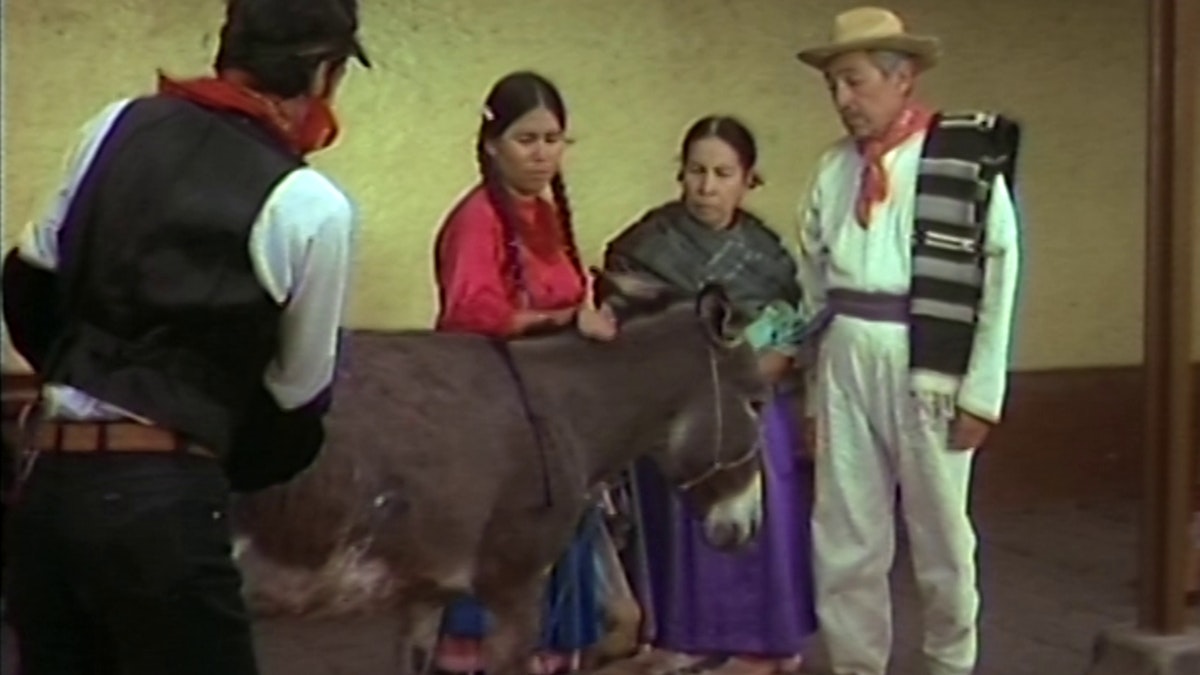 Tonta tonta pero no tanto Watch Free on Pluto TV Latin America Tonta tonta pero no tanto Watch Free on Pluto TV Latin America