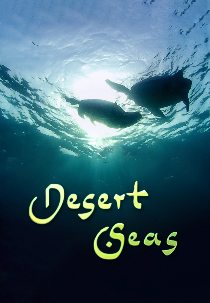 Desert Seas