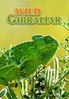 Wild Gibraltar