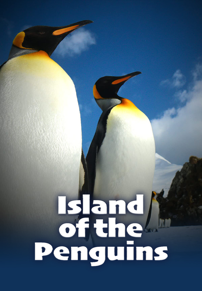 Island of the Penguins