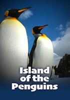 Island of the Penguins