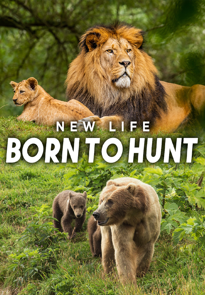 New Life: Born to Hunt