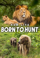 New Life: Born to Hunt