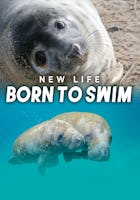New Life: Born to Swim