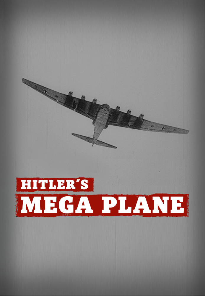 Hitler's Mega Plane