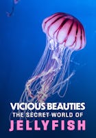 Vicious Beauties - The Secret World of Jellyfish