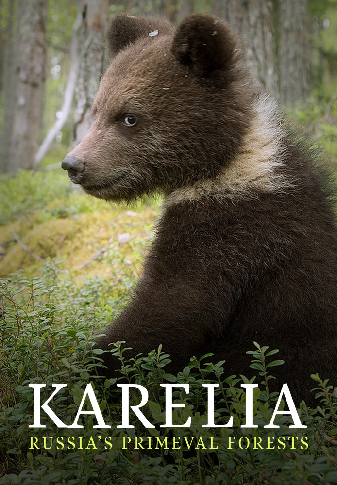 Karelia - Russia's Primeval Forests