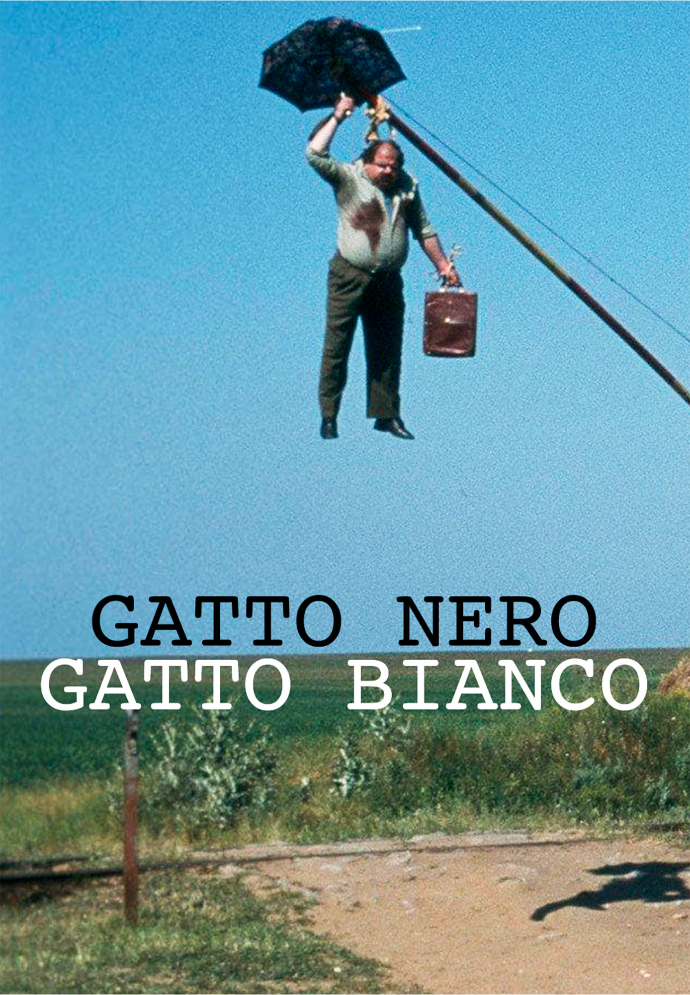 Immagine di Gatto nero, gatto bianco
