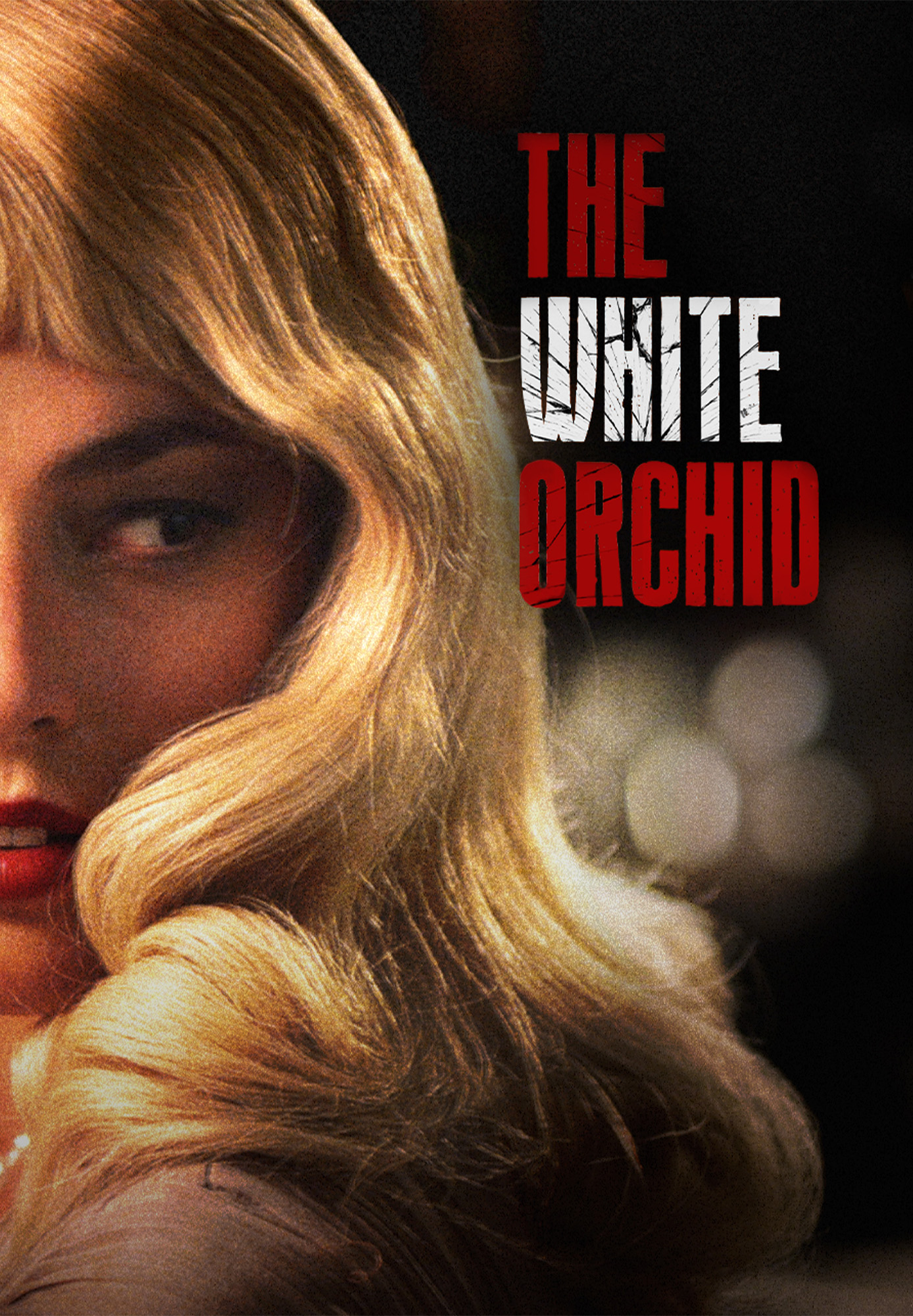 The White Orchid
