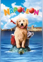 Napoleón: el perrito aventurero