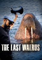 The Last Walrus: Suffering in Captivity