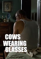 Cows Wearing Glasses