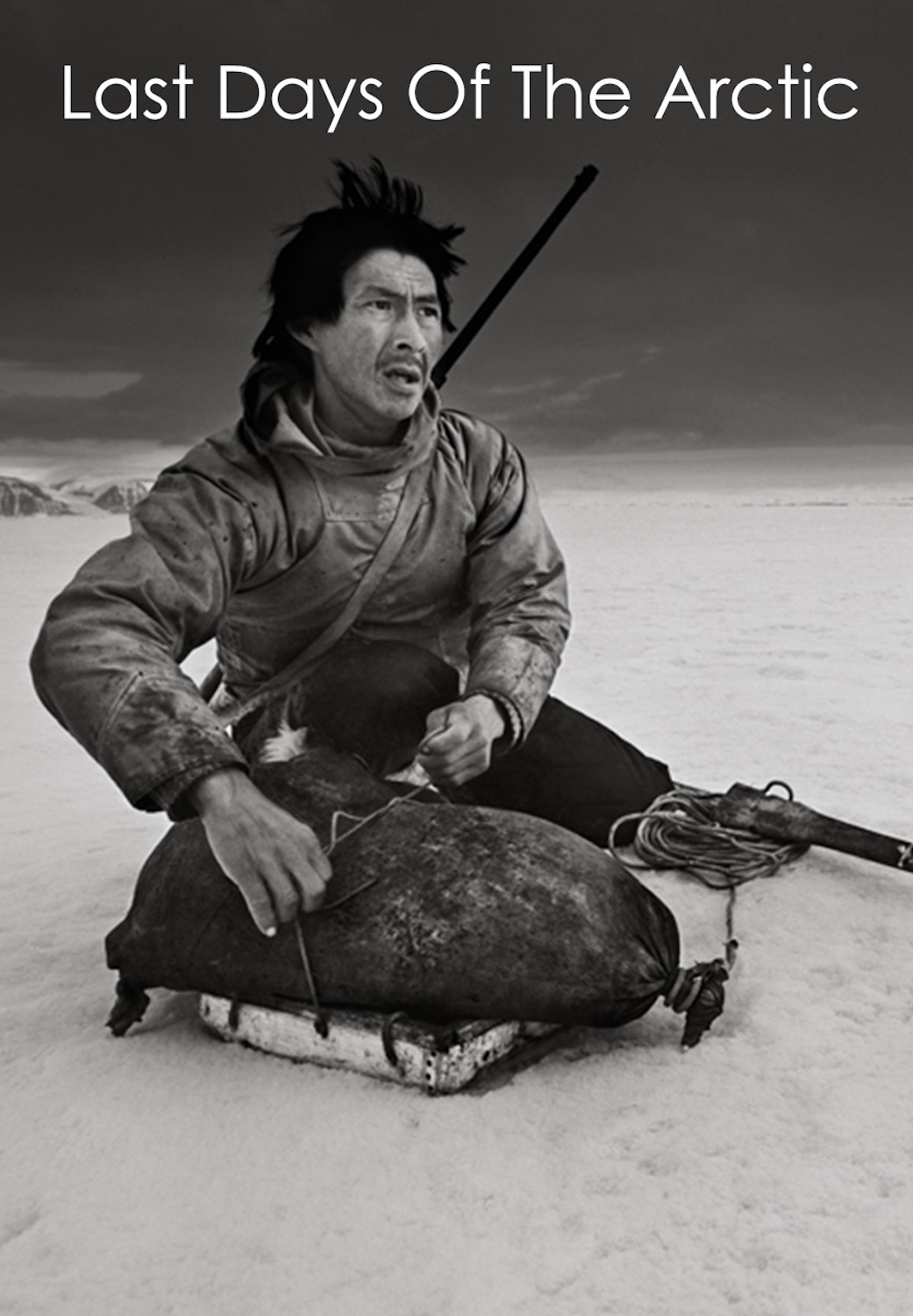 Last Days Of The Arctic