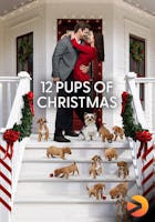 12 Pups of Christmas