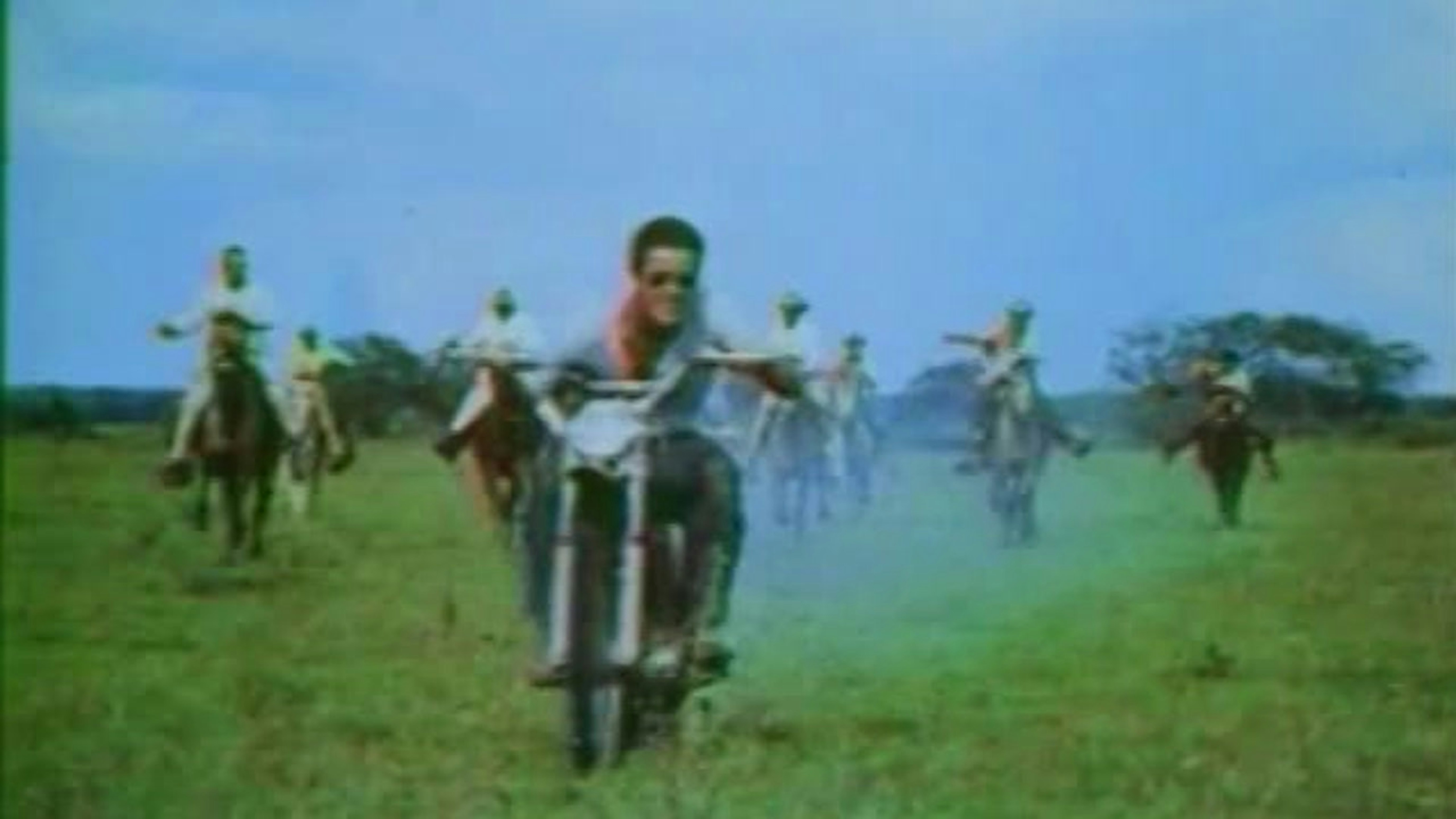 Piranha (Stonecutter Media) - Watch Free on Pluto TV United States